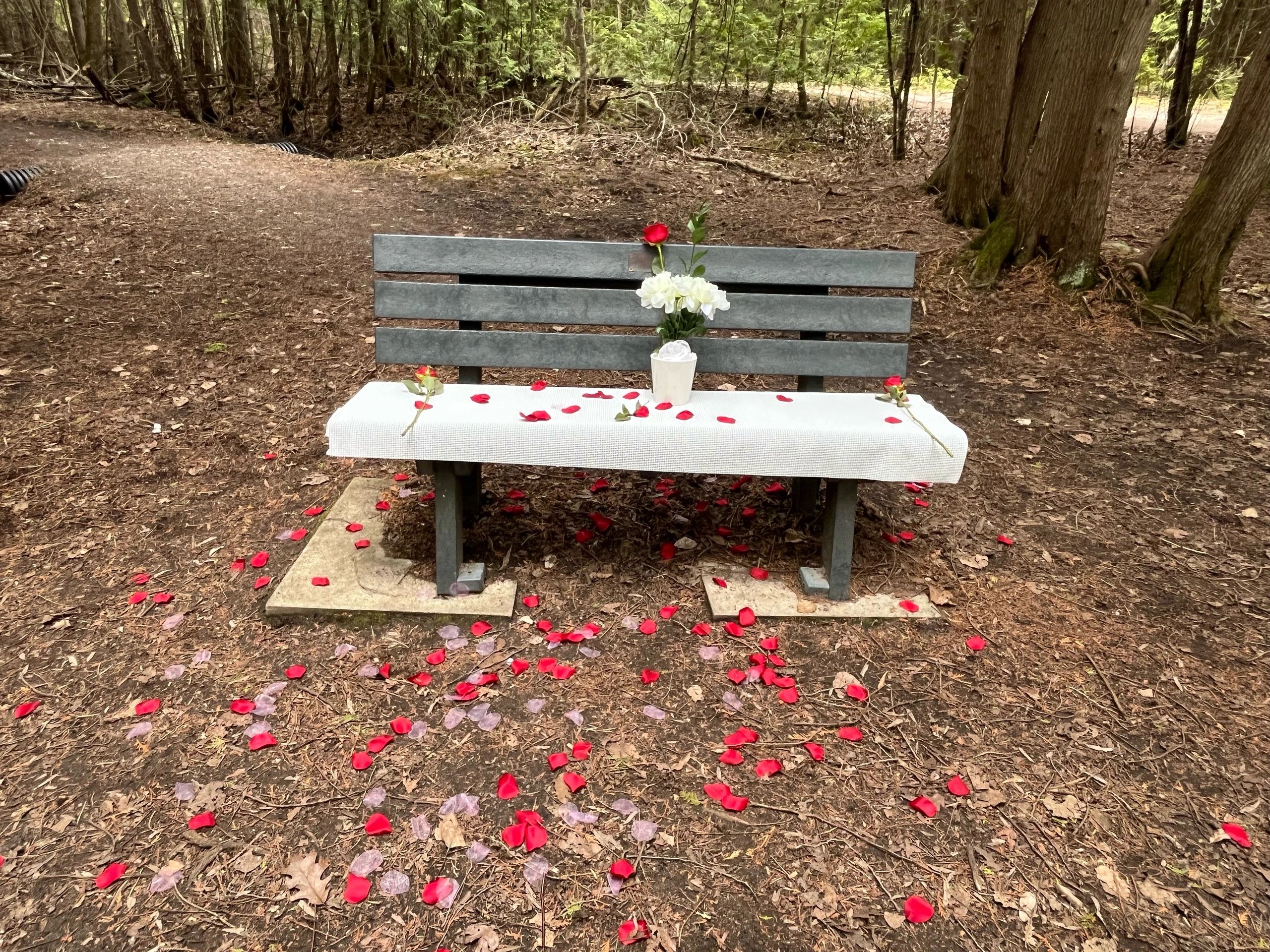 Printable Trail Maps